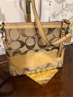 Coach Signature Stripe Swingpack Crossbody.